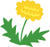 たんぽぽ組