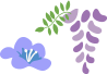 すみれ組・ふじ組