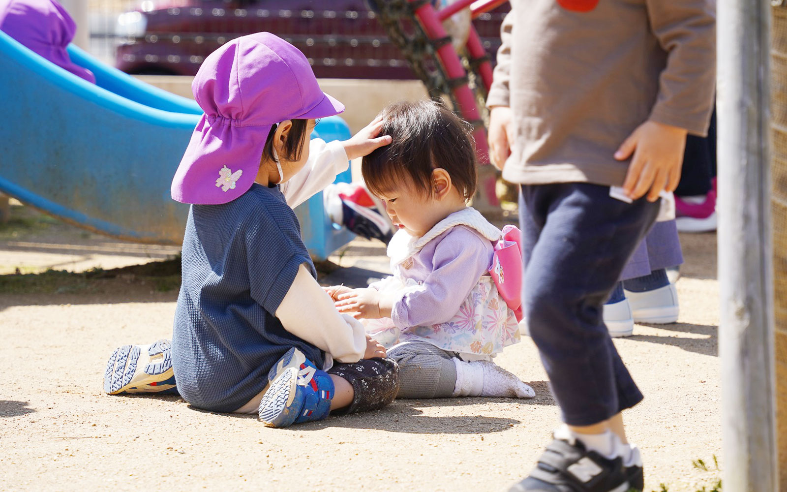 あおいこども園